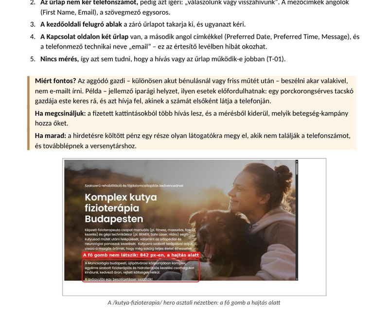 Részletes átvilágítás: egy megállapítás képernyőképpel és javasolt szöveggel